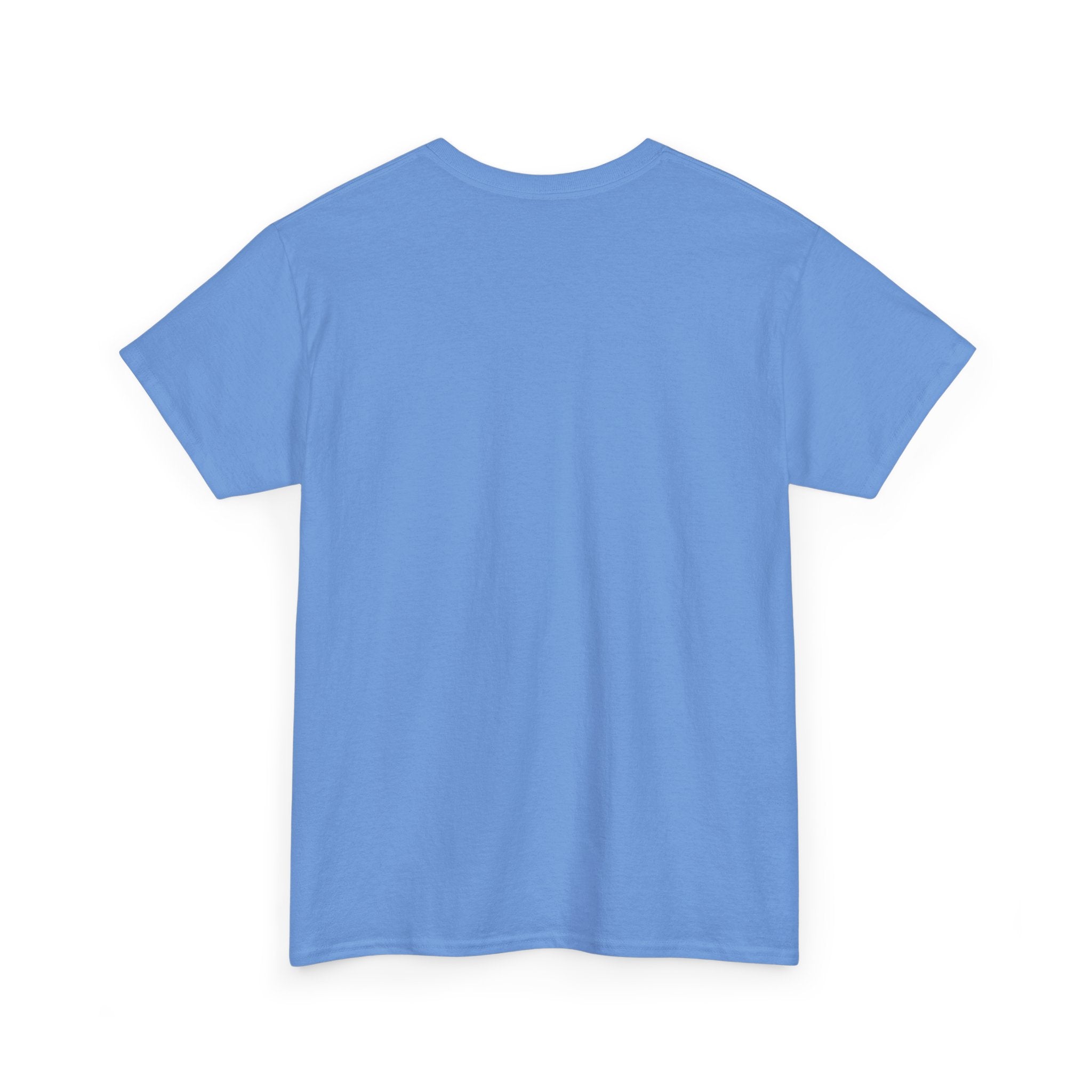 Unisex "With God Nature doesn't need a mother" Heavy Cotton Christian Tee