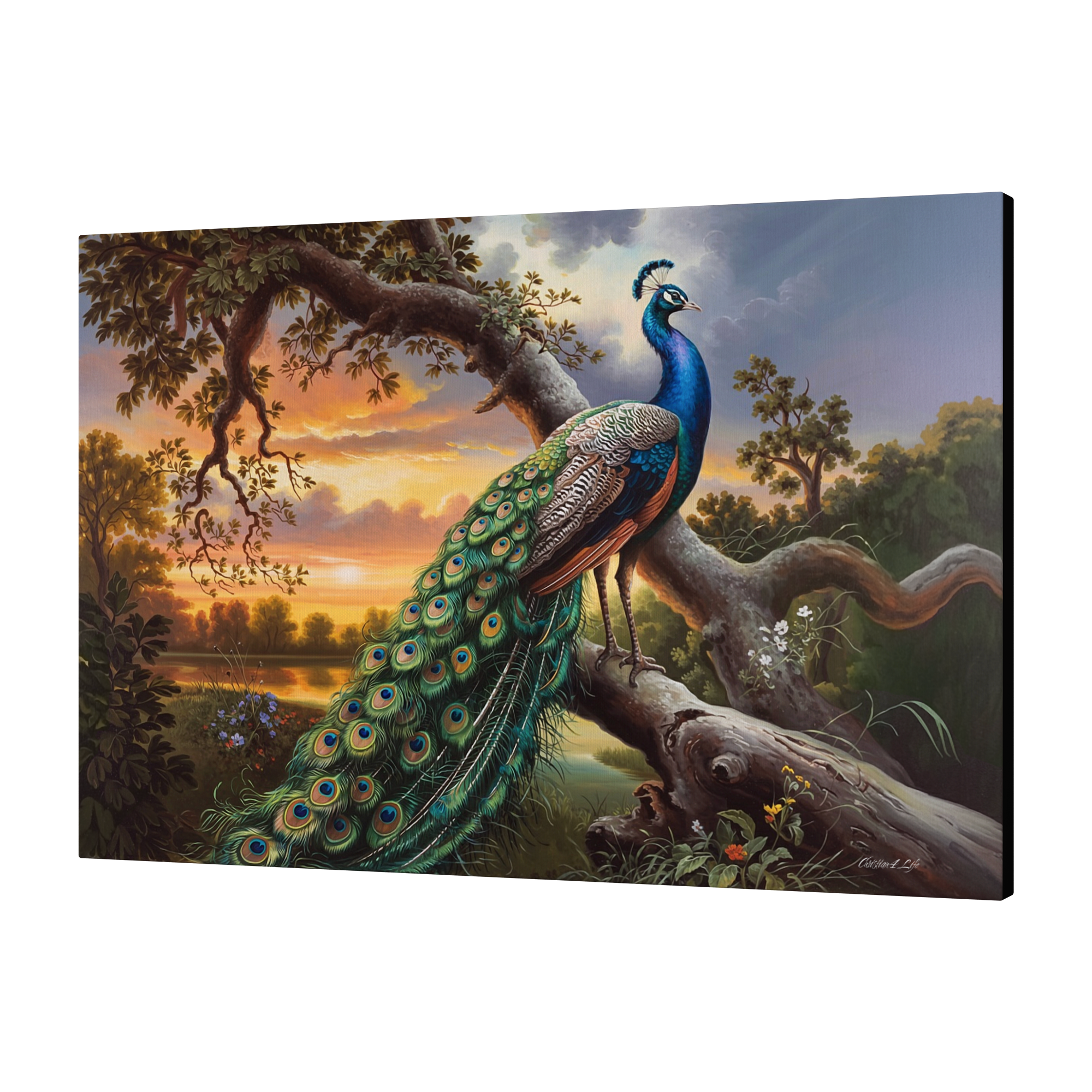 Beautiful Peacock canvas art print - a classic and elegant statement, Peacock art