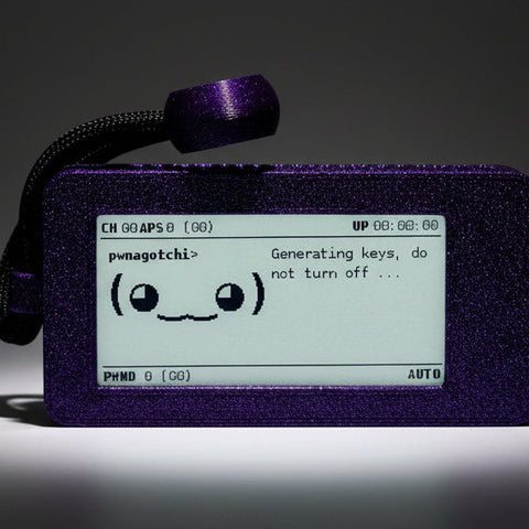 Pwnagotchi - Hacker Tool