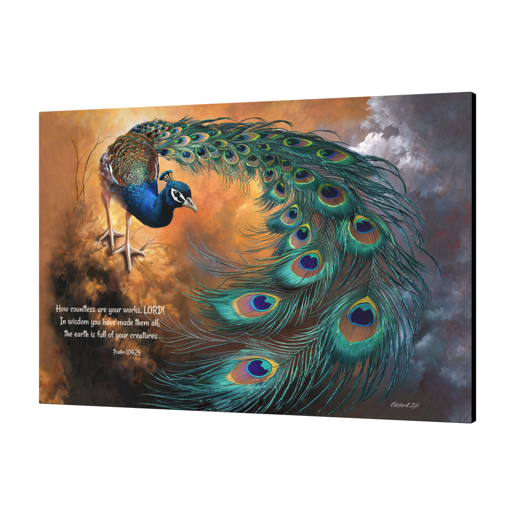 Peacock canvas art print - with Psalm 104:24 Bible Quote, Christian art celebrating God's creative power