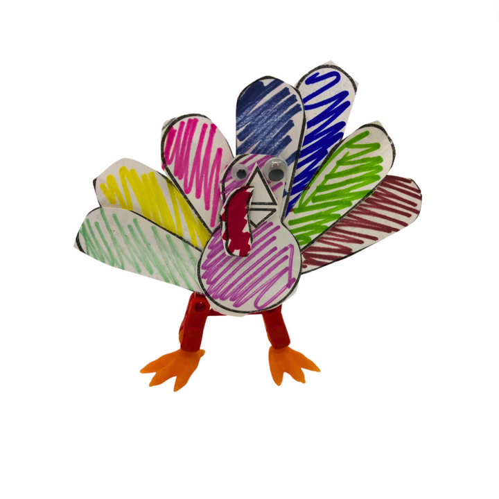 STEM Kits - Turkey Racer