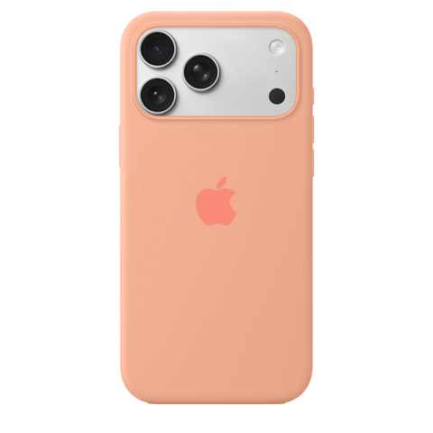 iPhone Silicone Case (Begonia)