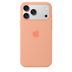 iPhone Silicone Case (Begonia)