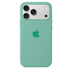 iPhone Silicone Case (Spearmint Green)