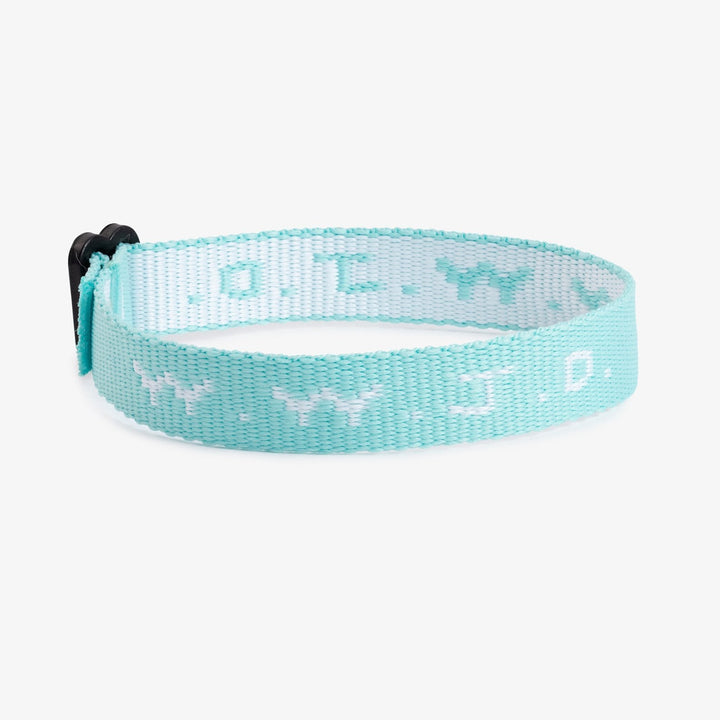 WWJD Bracelet Pack